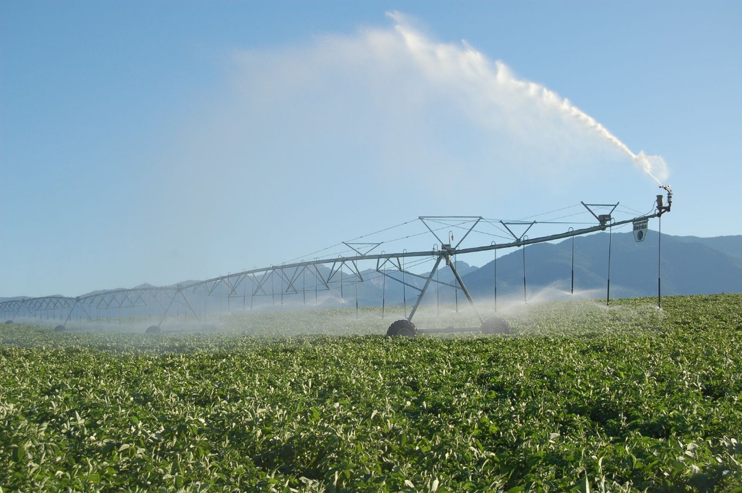 Center Pivot in Operation